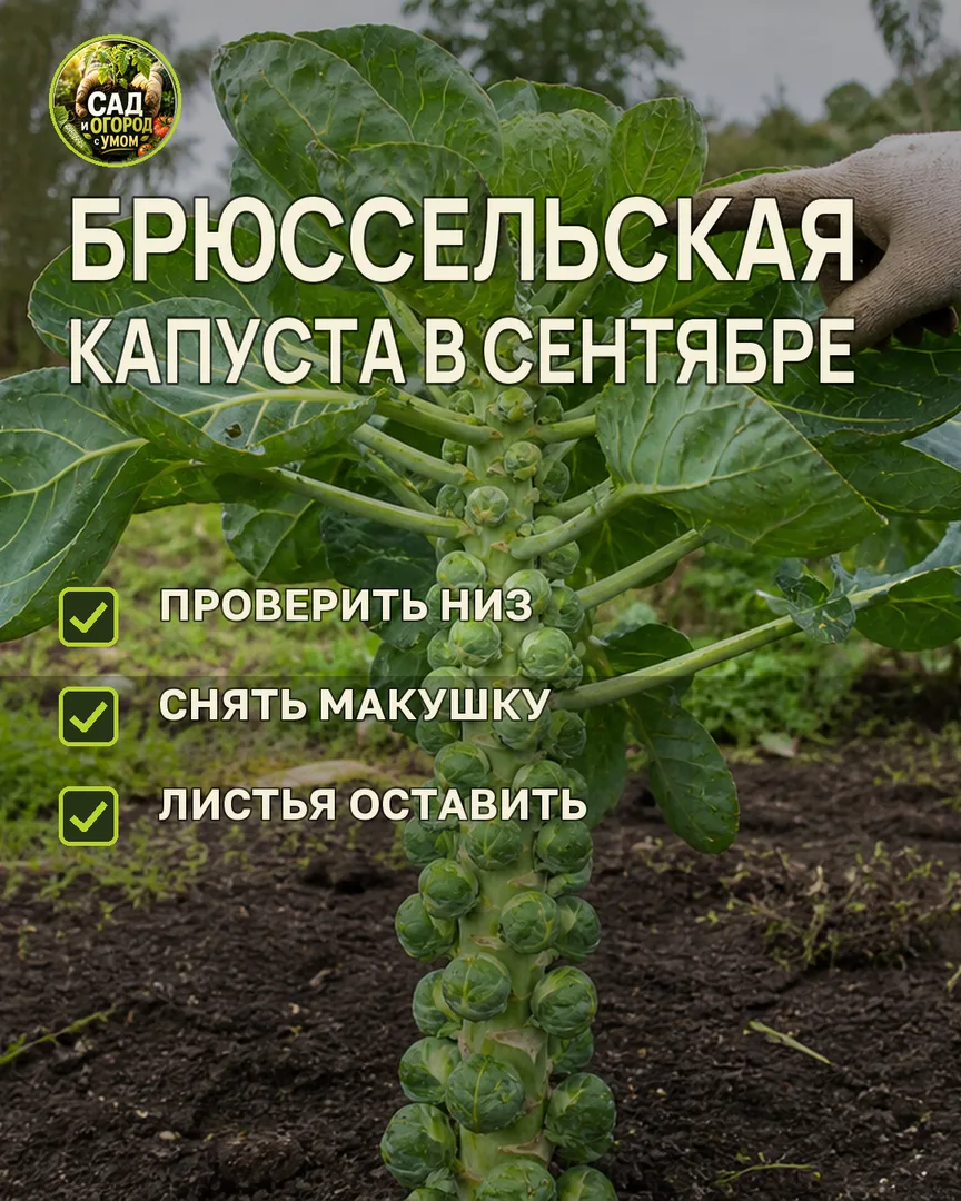 Краткая памятка к статье
