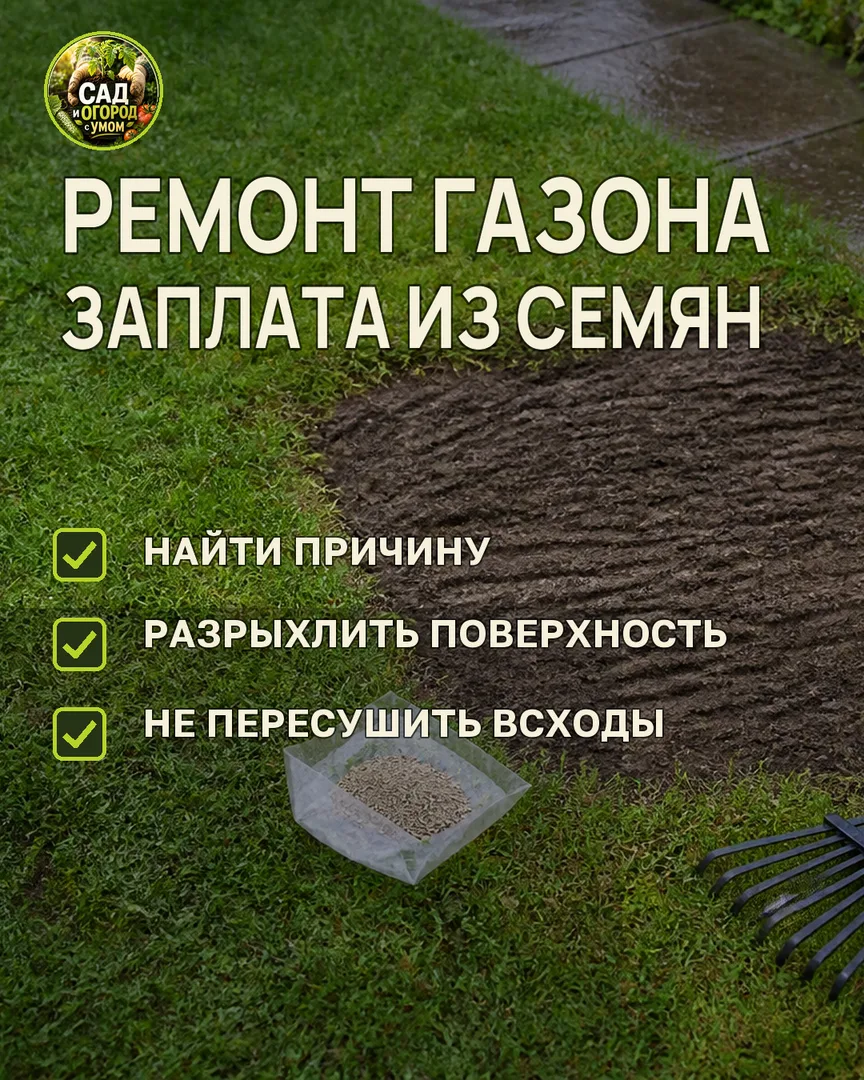 Краткая памятка к статье