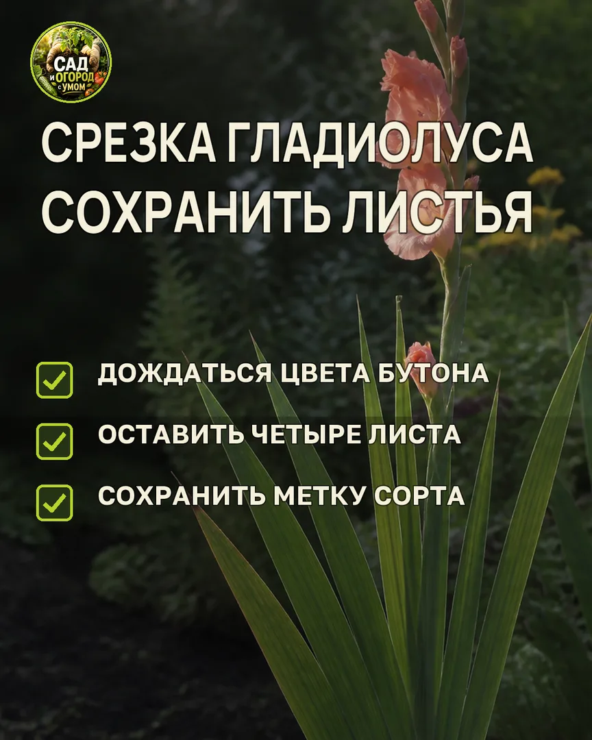 Краткая памятка к статье
