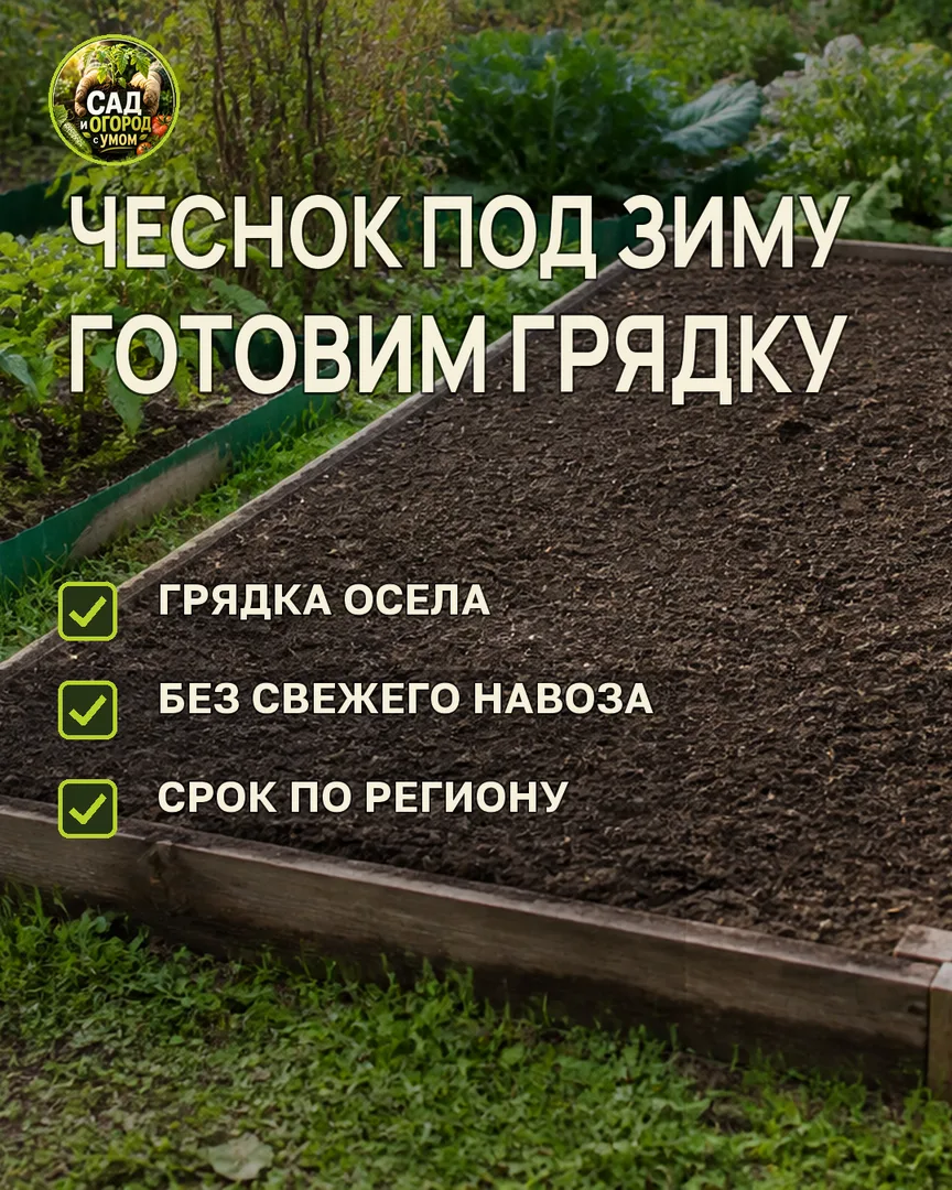 Краткая памятка к статье