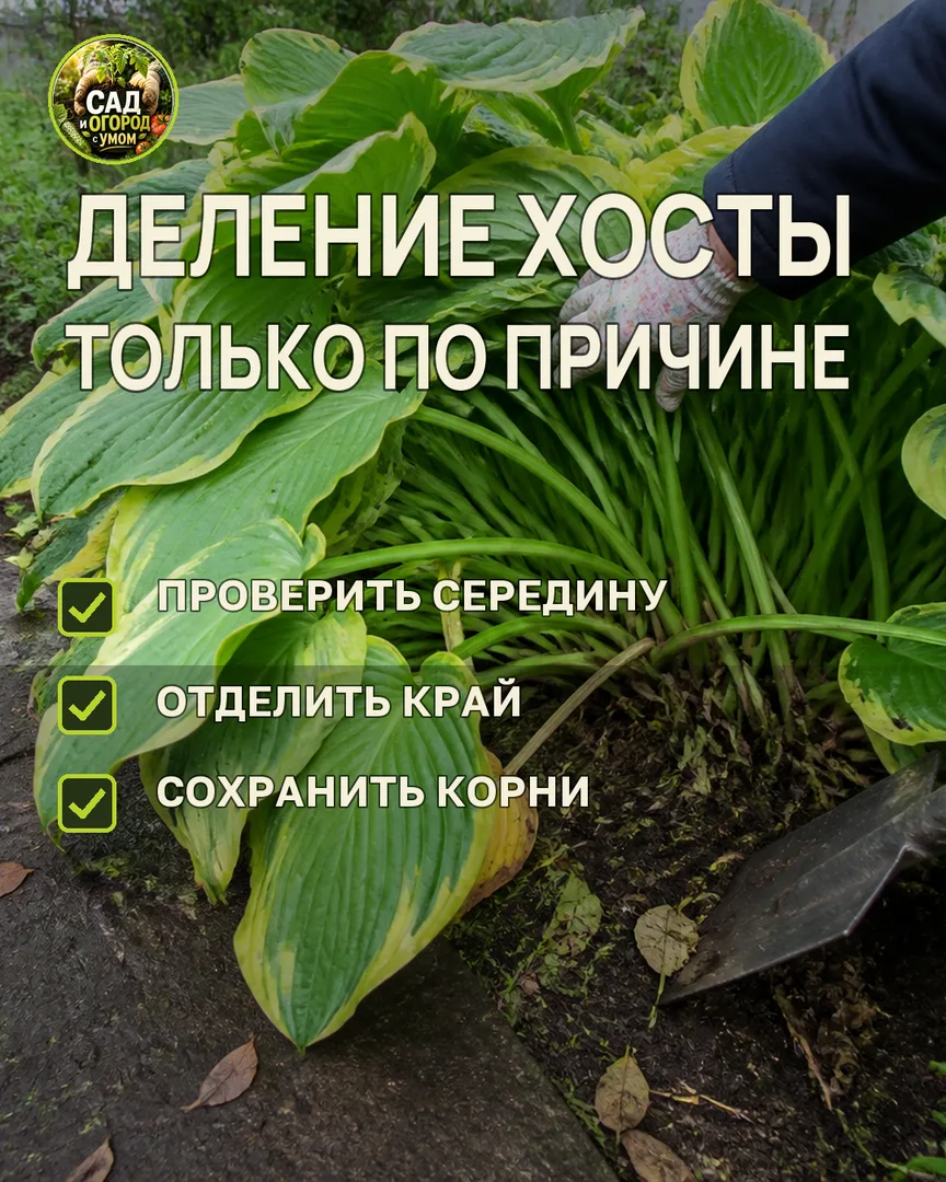 Краткая памятка к статье