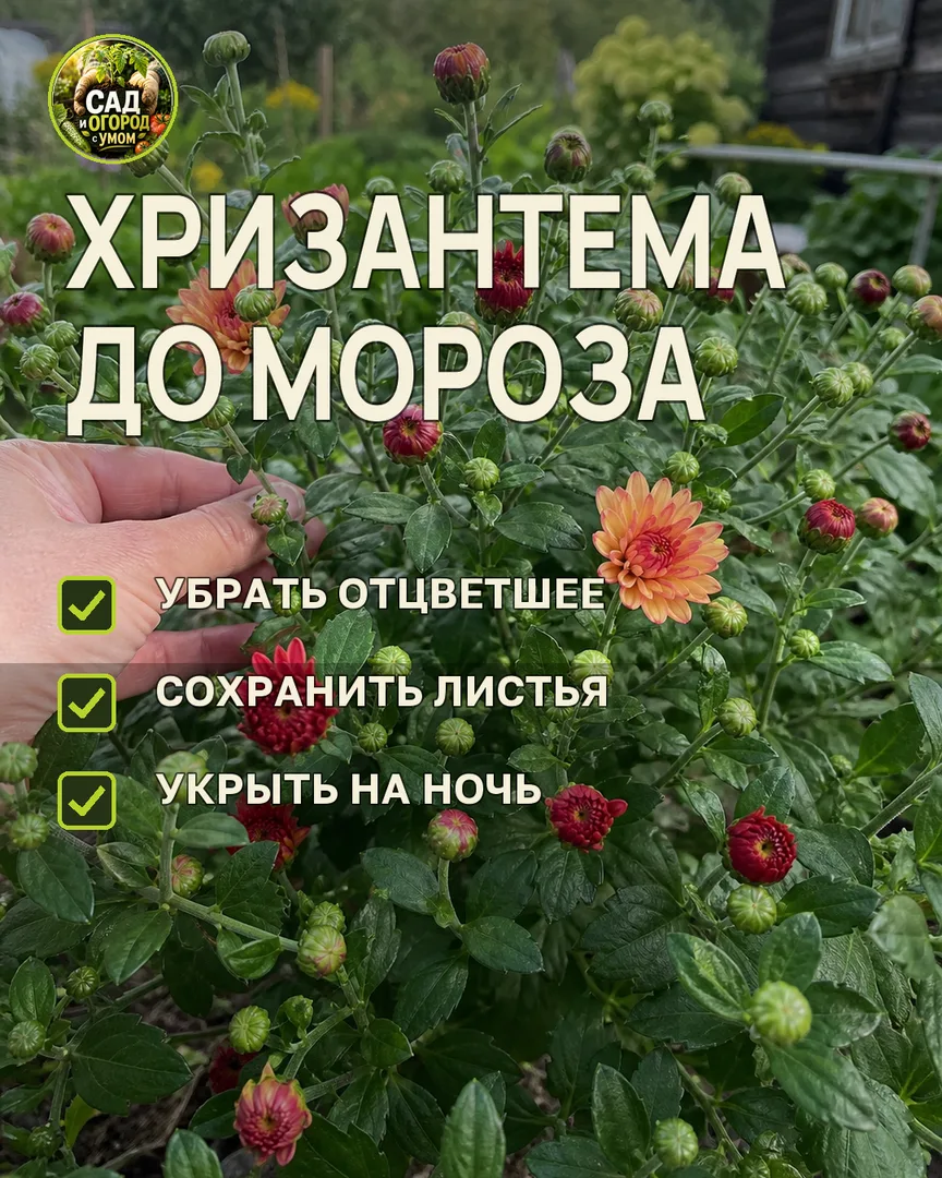 Краткая памятка к статье