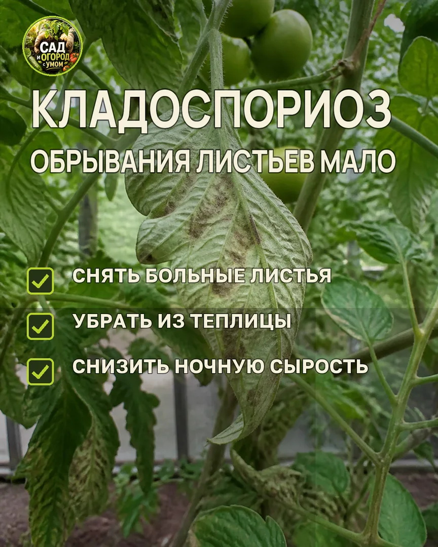Краткая памятка к статье