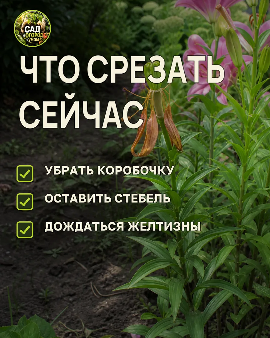 Краткая памятка к статье