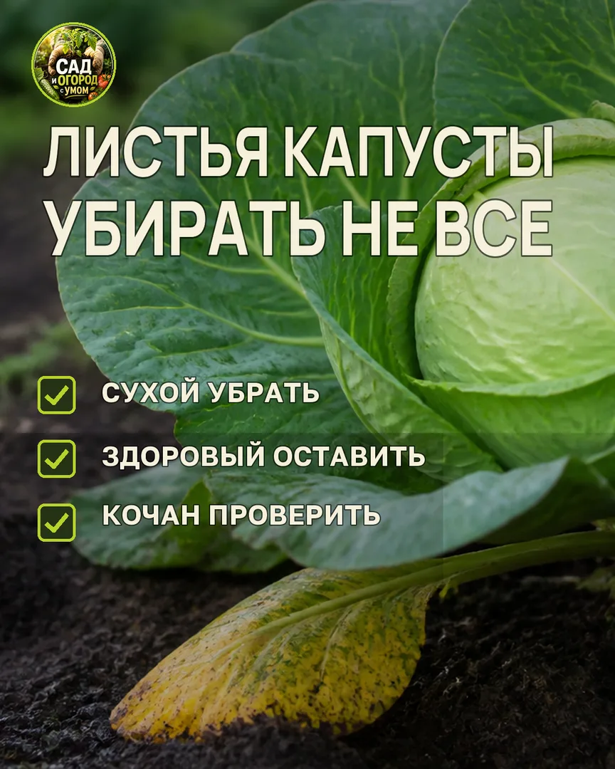 Краткая памятка к статье