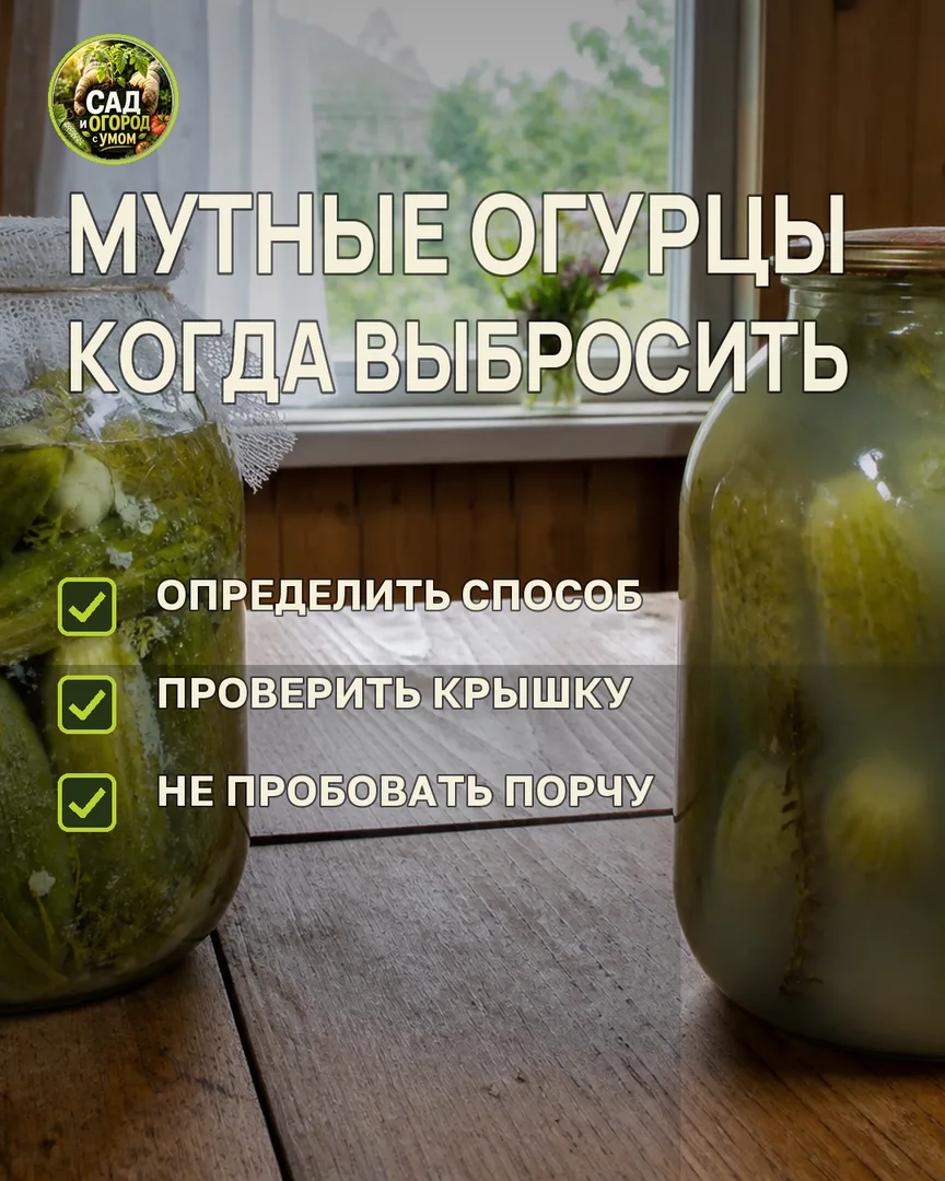 Краткая памятка к статье