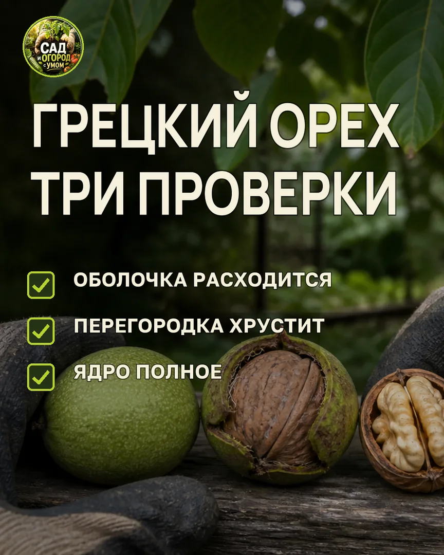 Краткая памятка к статье