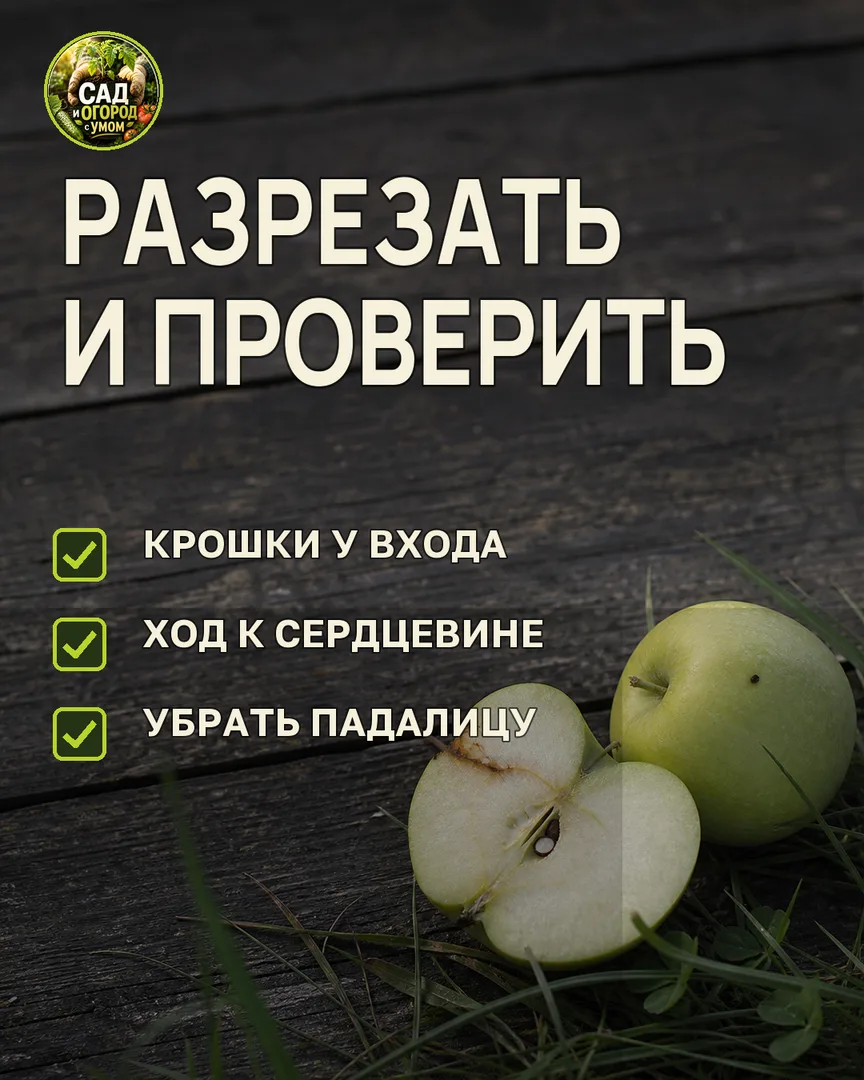 Краткая памятка к статье