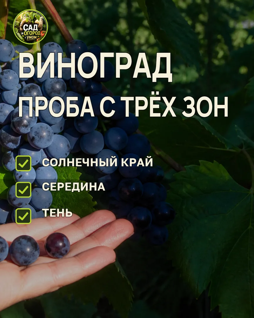 Краткая памятка к статье