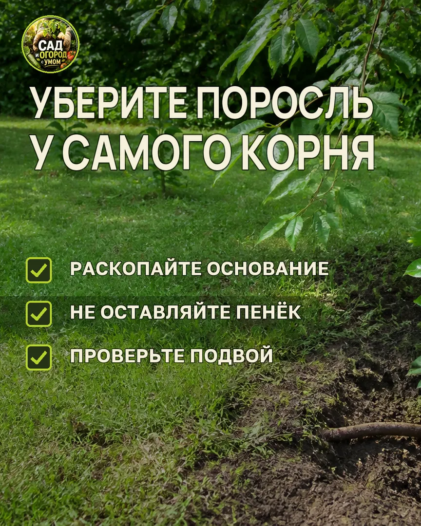 Краткая памятка к статье