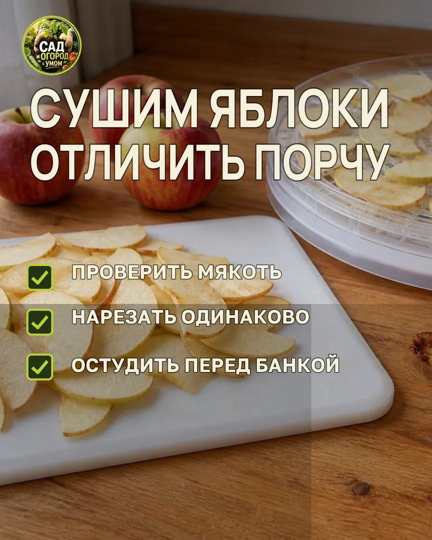 Краткая памятка к статье
